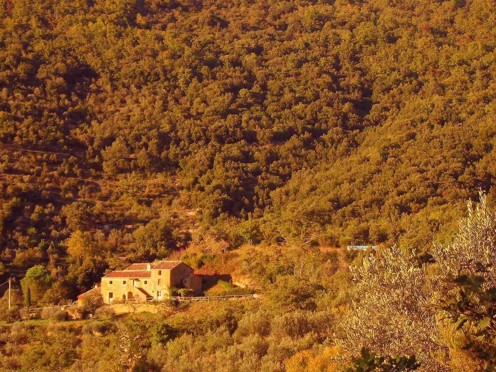 Locanda San Martino A Bocena Cortona Exterior foto